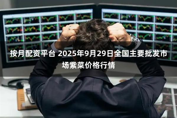 按月配资平台 2025年9月29日全国主要批发市场紫菜价格行情